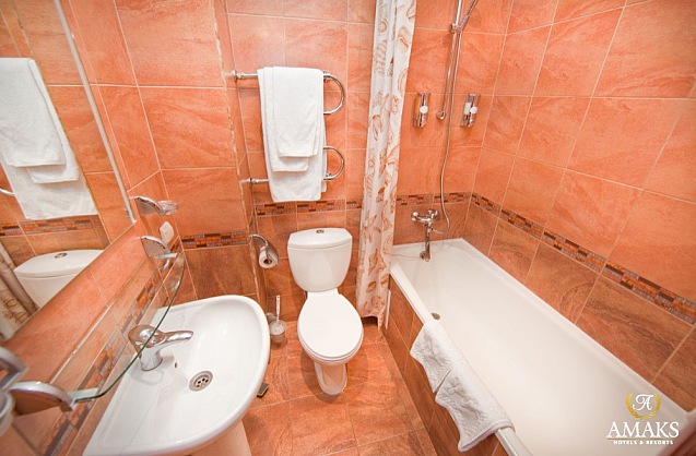 Бизнес двухместный - Санузел