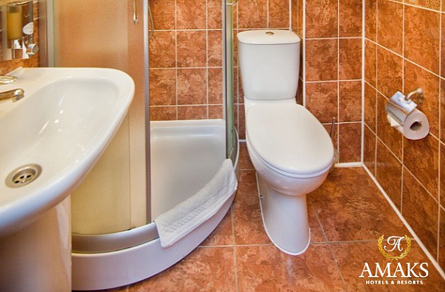 Бизнес двухместный - Санузел